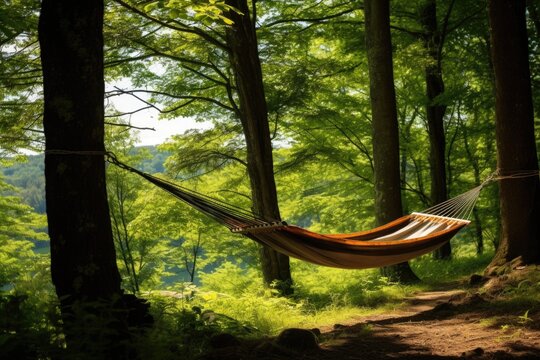a hammock strung between two trees in a secluded spot