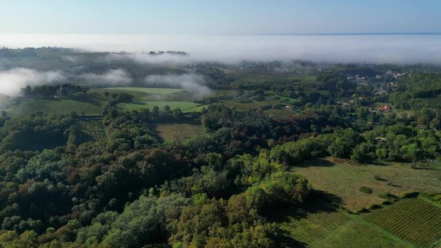 Aerial view of vineyard under fog, Langoiran, Gironde, France, High quality 4k footage