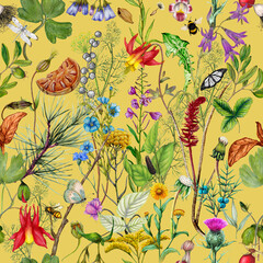 Seamless pattern with watercolor wild flowers. Hand-drawn illustration. - 660825699