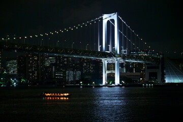 Fototapeta na wymiar 東京湾の洋上からみた夜景