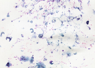 Bilberry stains on white paper. Abstract background