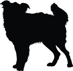 black silhouette of a dog