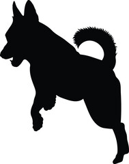 black silhouette of a dog