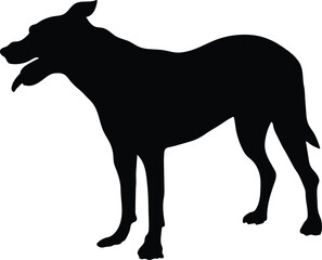 black silhouette of a dog

