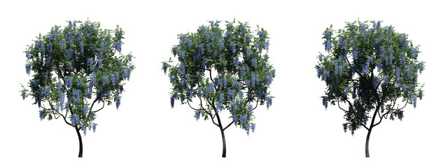 Set of beautiful summer tree with green foliage and bright flowers on a transparent background. 3d render - obrazy, fototapety, plakaty