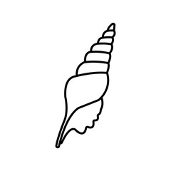 Seashell icon vector. Shell illustration sign. Sea life symbol or logo.