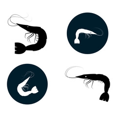 shrimp vector illustration