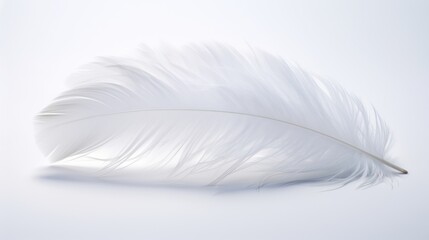A pristine white background featuring soft feather details on its surface. - obrazy, fototapety, plakaty