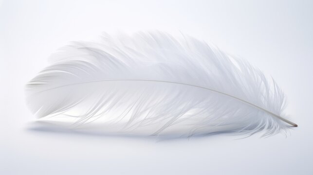 A pristine white background featuring soft feather details on its surface.