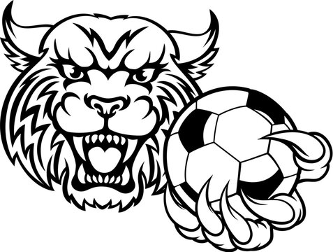 A wildcat bobcat cat cougar animal sports mascot holding soccer football ball