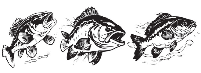 Fpredatory fish, black and white vector, silhouette shapes illustration