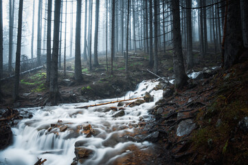 Woda przetacza się przez szlak w górach, Tatry Zachodnie. © Blaszko