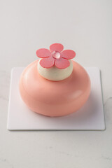 Fine French dessert and cakes on bright and white background. Petite Gateau and Entremet cakes. Well decorated celebration cakes. 