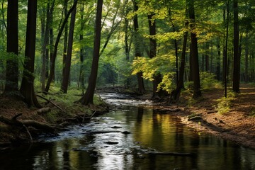 Stunning river winding through a wooded area in White Clay Creek State Park, Newark, Delaware. Generative AI