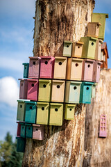 wood bird houses on tree