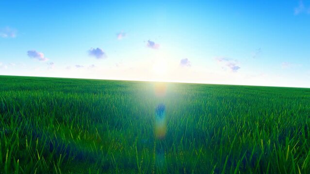 Time-lapse photography of sun rising in the grassland in the morning