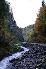 A bright blue river flowing through forest as the sun begins to set in a hidden park along the scenic drive in Hoverla mountains area