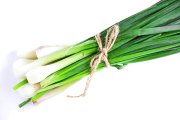 bunch of fresh green onions chives close up wrapped with a rope isolated on a white background