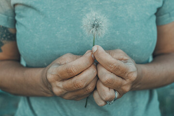 Close up of woman hands holding and protect a big soft dandelion flower. Grey green mood color image. Concept of hope and sweetness. Love nature people lifestyle. Day dreaming person natural life - Powered by Adobe
