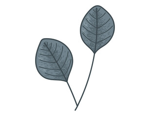 Decorative vector flat twig with leaves. Natural isolated plant design element, sketch style.