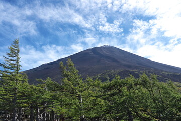 Fototapeta premium 富士山の初冠雪