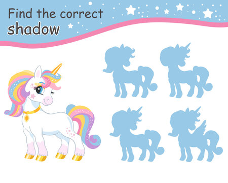 Find correct shadow rainbow mane unicorn vector