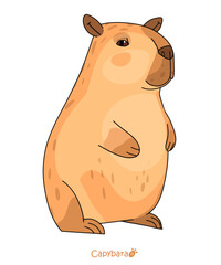 Capybara. Vector clipart on a white background. Cute animal, print on accessories, postcard, sticker.