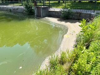 Summer Algal Blooms. Exploring Water Contamination and Environmental Impact. Global environmental...