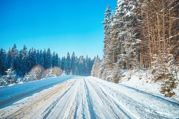 Sunny winter forest road with beautiful white snow. Tranquil Winter Wonderland. Sunny Forest Road Amidst White Snow