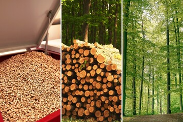 A Sustainable Future. The Wood Pellet Journey from Forest to Home Heating. Three steps of production wood pellets fuel. - obrazy, fototapety, plakaty