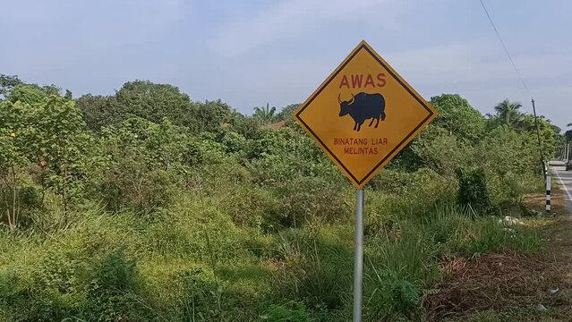 Warning sign on the road in malaysia. This sign is used to warn drivers of dangerous animals crossing road.video taken in malaysia