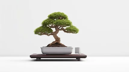Fototapeten bonsai tree on a work desk with a laptop nearby, for hobby and refreshment © Beny