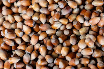 Hazelnuts, many hazelnut in farmer market. Organic foods concept idea. Selective Focus.