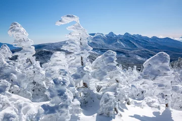 Muurstickers 快晴の北横山頂から望む樹氷と八ヶ岳の山並み3 © 木嶋眞吾
