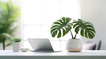 monstera plant in pot on wooden table with laptop and white background - obrazy, fototapety, plakaty