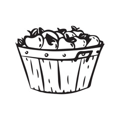 apple in basket vector illustration