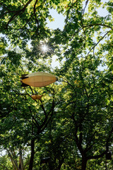 Zeppelin im Wald - Dekoration © Samuel