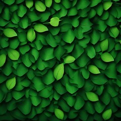 natural leaf illustration background
