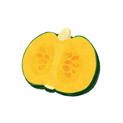 かぼちゃの断面のイラスト