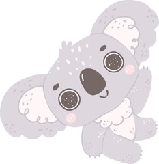 Baby Koala