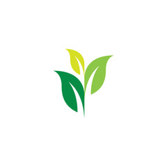 Fototapeta premium V Leaf Logo Design. Leaf Icon