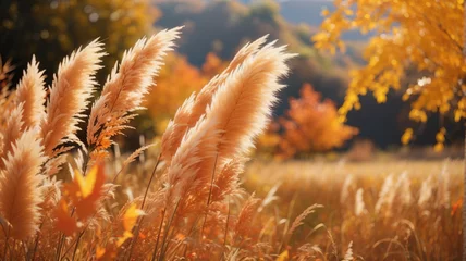 Foto op Canvas 草原のススキ　美しい秋の風景　Generative AI  © RD02_AG