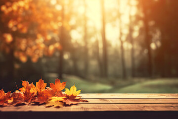 bokeh, maple, blur, abstract, foliage, seasonal, display, vibrant, frame, rustic, empty, scenic, space, border, cover, golden, plank, wallpaper, aged, light, desk, grunge, product, copy space, fade, o