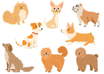 Dogs collection. Cartoon dogs of different breeds. Pet animal, cute puppy. Chihuahua, toy poodle, corgi, pomeranian, bulldog, jack russell terrier. Vector hand draw illustration.