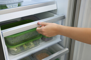 Woman pulling out fridge drawer with different fresh products, closeup. Food storage