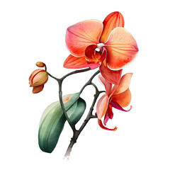 Mystical Watercolor Orchid Secrets