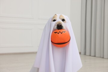 Cute Labrador Retriever dog wearing ghost costume with Halloween bucket indoors