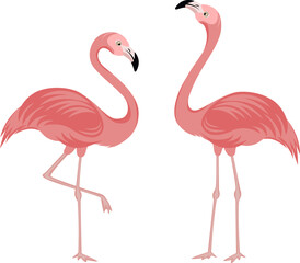 Vector illustration of two flamingos, pink birds with long legs and necks, associated with tropical climates.