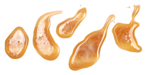 Spilled dark stout beer puddle  with foam, isolated on white, top view, clipping path