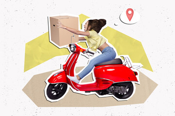 Artwork collage picture of excited girl drive scooter arms hold carton box delivery geolocation...